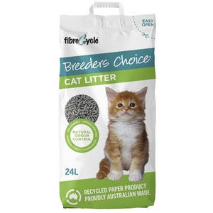 What Kitty Litter Should I Use?