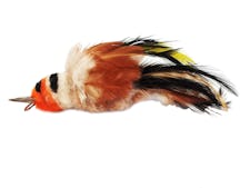 Purrs goldfinch bird clipon