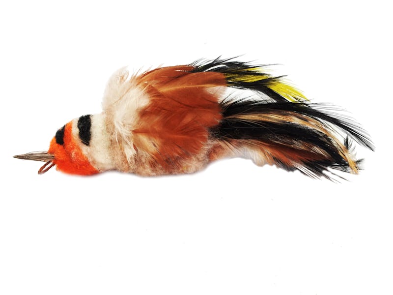 Purrs goldfinch bird clipon
