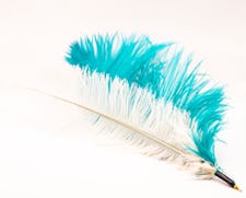 Sweet meows ostrich feather teaser clip-on attachment