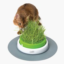 Catit 2. 0 senses grass planter