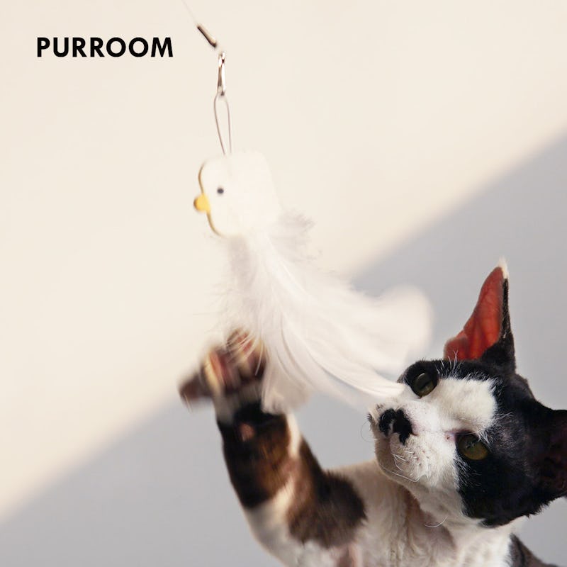 Purroom retractable cat teaser