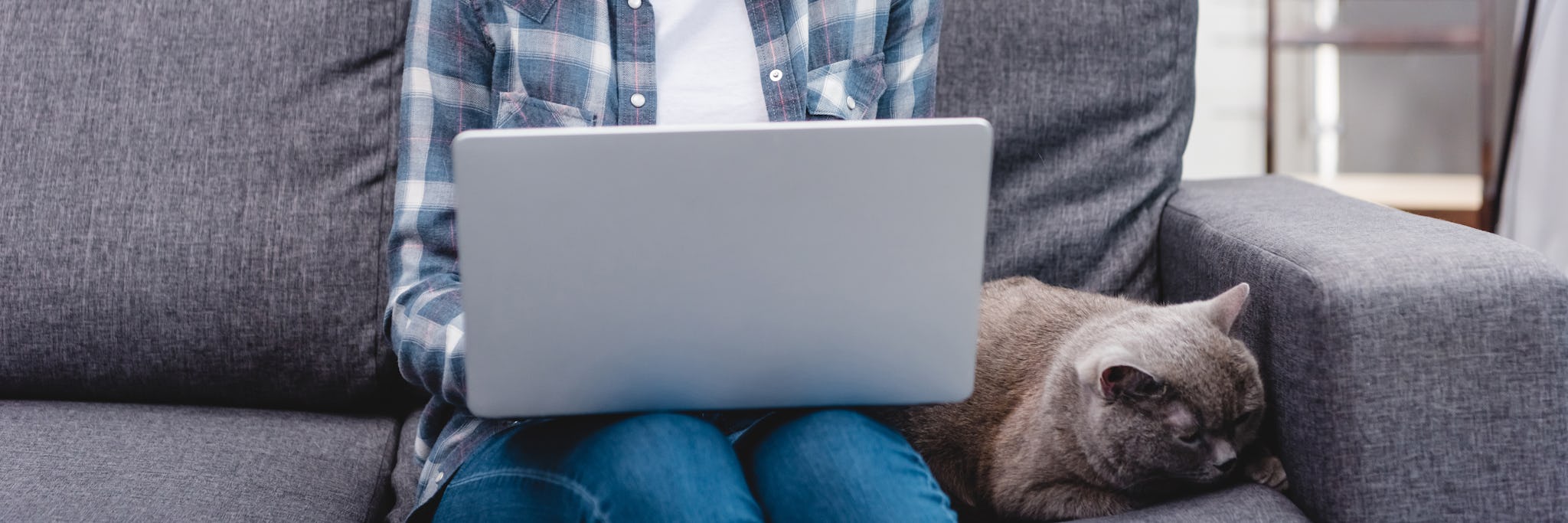 Woman using her computer on a couch with her cat next to her